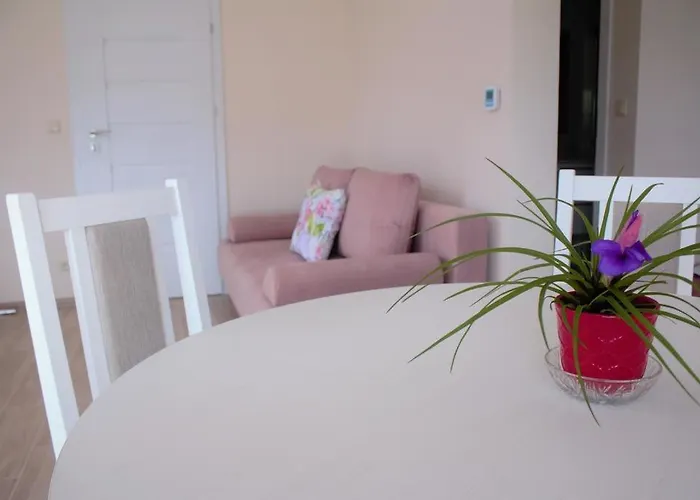 Jas I Malgosia Władysławowo